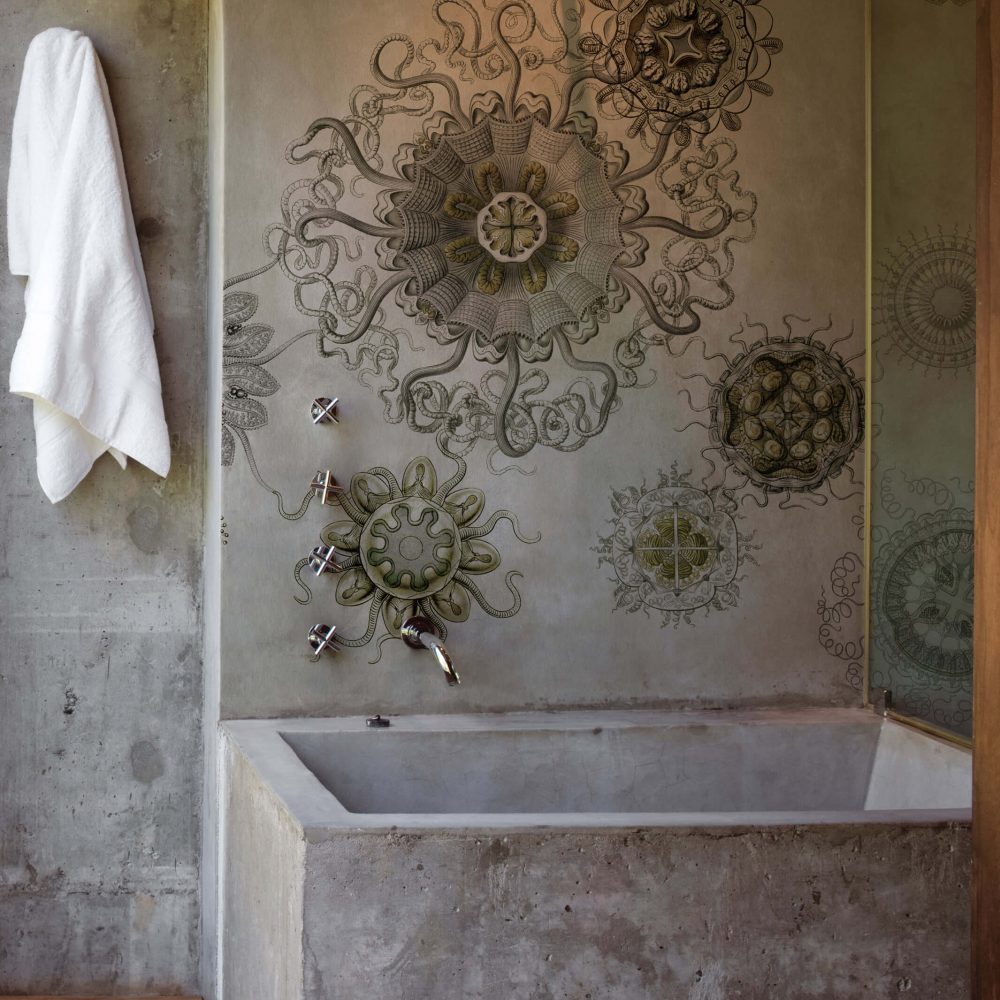 Medusae from Wall&Decò