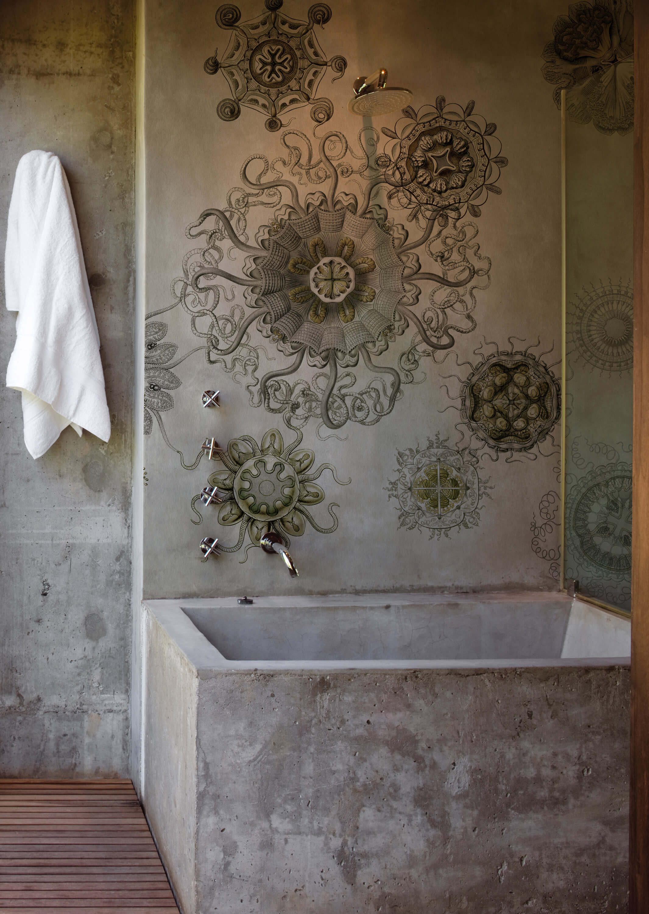 Medusae from Wall&Decò