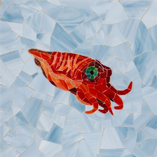 West One BAthrooms NewRavenna LaMer SquidJellyfish close